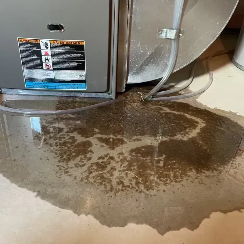 Appliance Leak Cleanup in Waukegan, IL